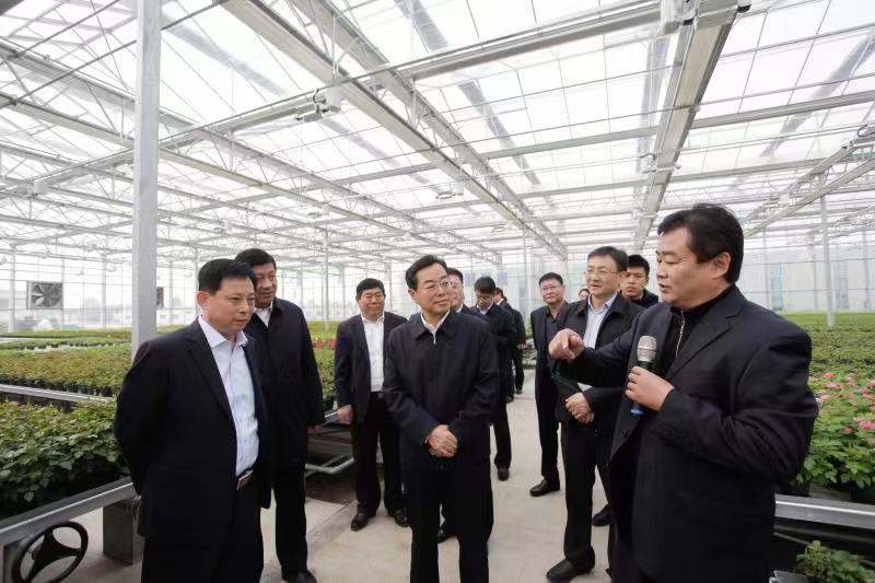 北京省委副书记杨东奇到6766平台（庆京）现代种植业产业园调研指导工作